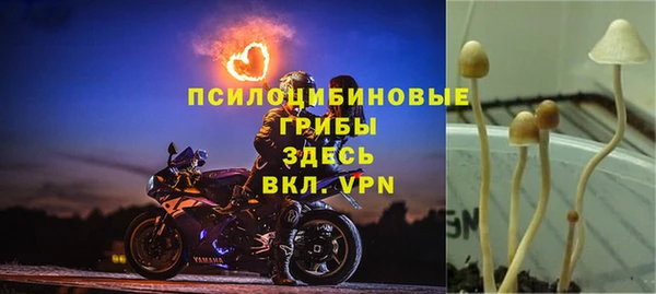 шишки Балабаново