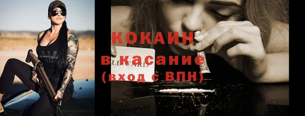 шишки Балабаново