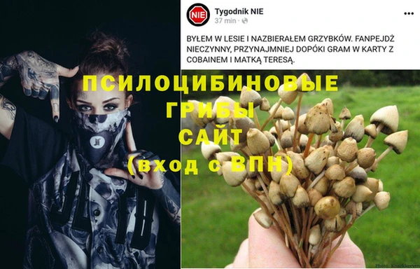 гашишное масло Балахна
