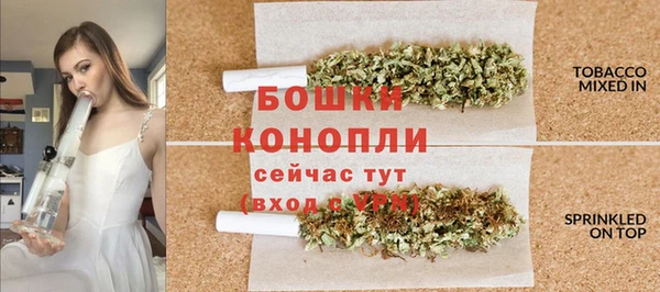 шишки Балабаново