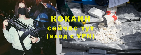 шишки Балабаново