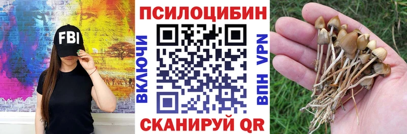Галлюциногенные грибы GOLDEN TEACHER  купить наркоту  blacksprut онион  Балей 